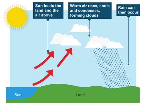 Draw a diagram showing:- a Convectional rainfall b Cyclonic rainfall c Relief rainfall - Social ...