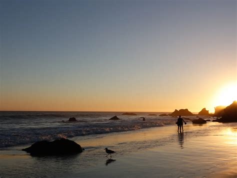 The Best Beaches in Los Angeles | Discover Los Angeles