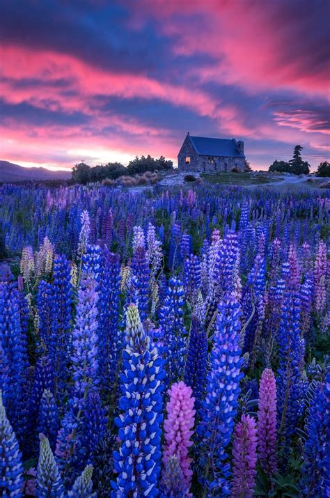 15+ Amazing Photographers Capture Bright Colors In Nature - VIEWBUG.com