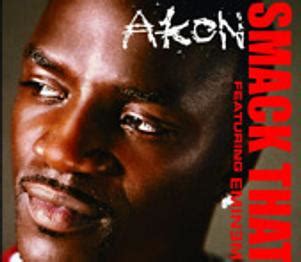 Akon ft Eminem Smack That | Music Life