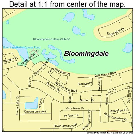 Bloomingdale Florida Street Map 1206875