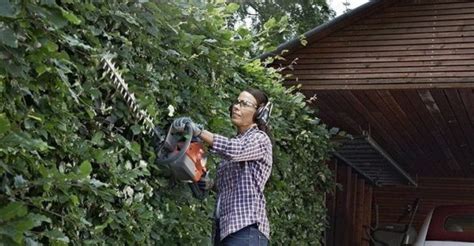 4 Best Gas Hedge Trimmers - Reviews and Buying Guide