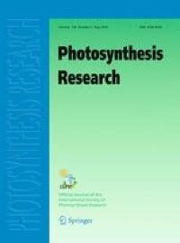 Introduction to magnetic resonance methods in photosynthesis | SpringerLink