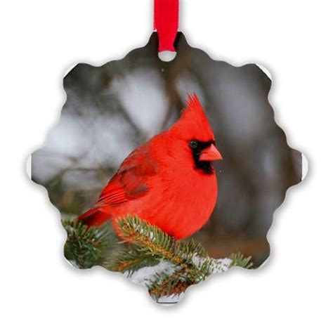 Christmas Red Cardinal Bird Tree Ornament (Round) | CafePress in 2022 ...