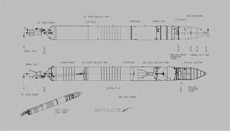 Spacex Starship Drawing