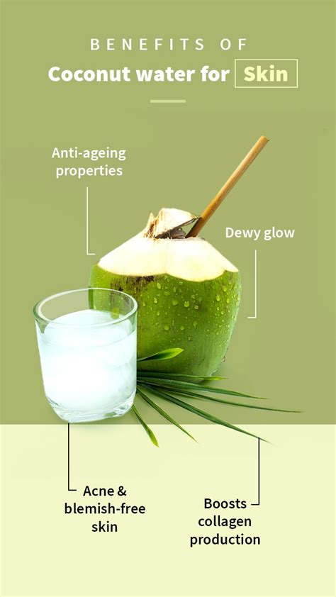 Krimi Áztatás Hibátlan benefits of coconut water for skin módszertan olcsó kiadás látni