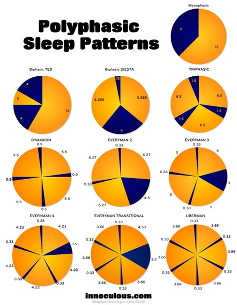 Polyphasic Sleep