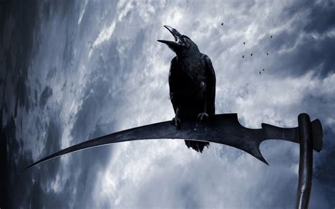 raven, birds, fantasy art, scythe, animals, HD Wallpaper | Rare Gallery