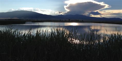 Monte Vista National Wildlife Refuge – Monte Vista, CO