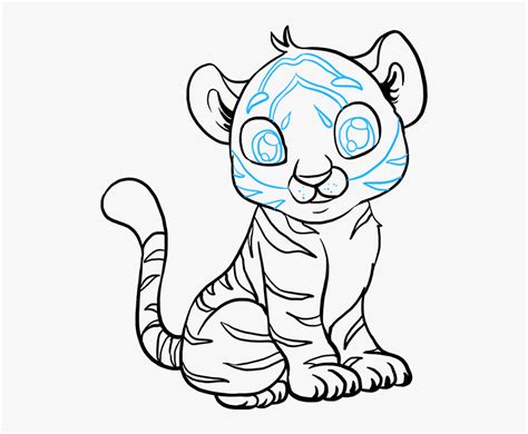 Transparent Baby Tiger Png - Draw A Baby Tiger, Png Download , Transparent Png Image - PNGitem