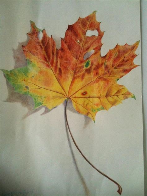 How To Draw A Leaf Realistic at How To Draw