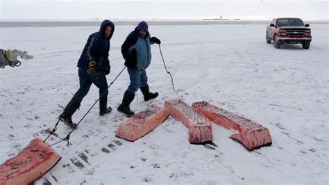 Scientists find link between group of pollutants and health problems in ...