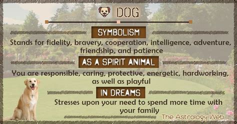 Dog meaning and symbolism – Artofit