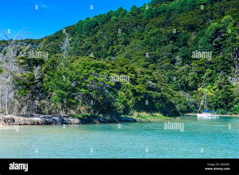 Sailing boat anchoring in the Abel Tasman National Park, South Island ...