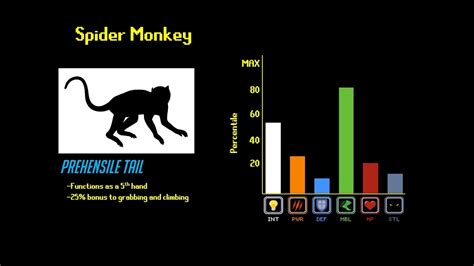 Watch This Awesome Video Game Analysis of Primates and Be Proud