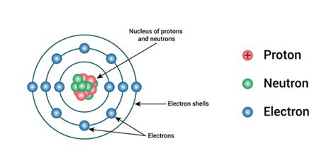 Neon Atom Labeled