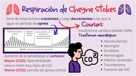 Respiración de Cheyne Stokes | Mary Mednotes | uDocz