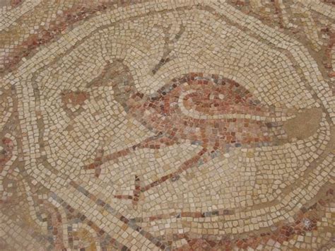 Israel's top 10 ancient mosaic discoveries - Travel in Israel - Haaretz.com