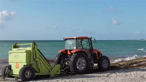 Record Sargassum Bloom Sends Seaweed Drifting Towards Florida