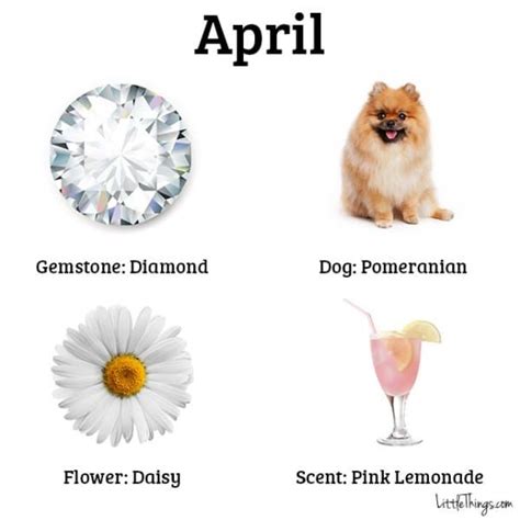 Each Birth Month Has A Special Dog, Scent, Gem, And Flower. What's ...