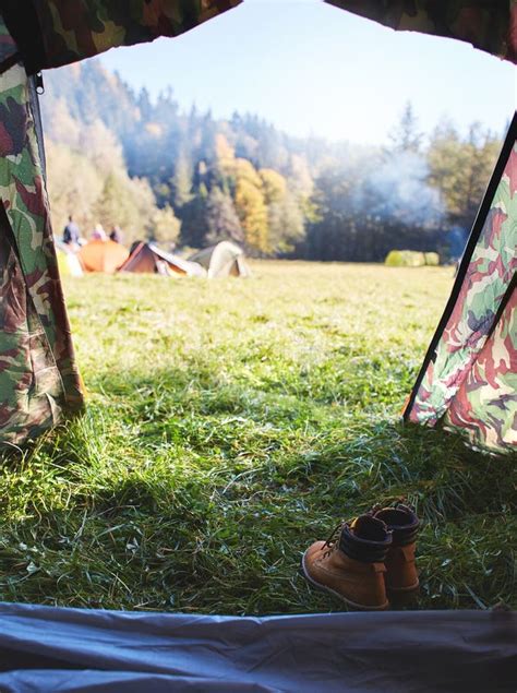 View From The Tent In Campsite On A Tents On A Green Grass In A Pine Woods In Fall Stock Image ...