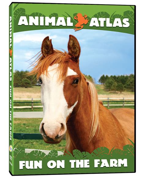 Amazon.com: Animal Atlas: Fun on the Farm : Farm Animals, Long Needle ...