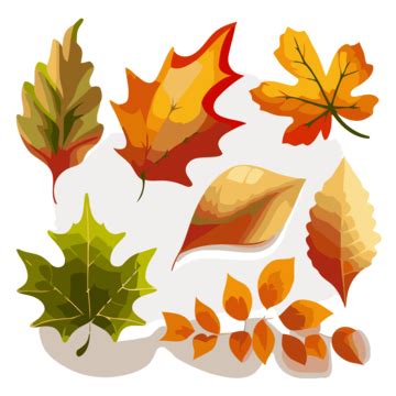 Fall Leaves Free, Sticker Clipart Autumn Leaves With Leaves Different Colors Vector Illustration ...