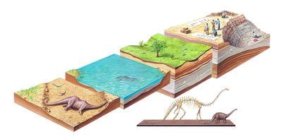 Are fossils still being made today?