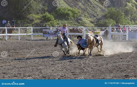 Steer Wrestling Rodeo Competition Editorial Stock Photo - Image of calf, state: 117679138