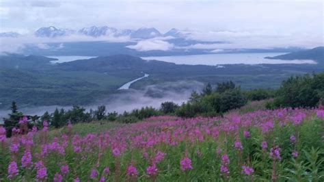 Kenai Peninsula, AK - Went hiking in Alaska last summer, this was my favorite picture. : hiking