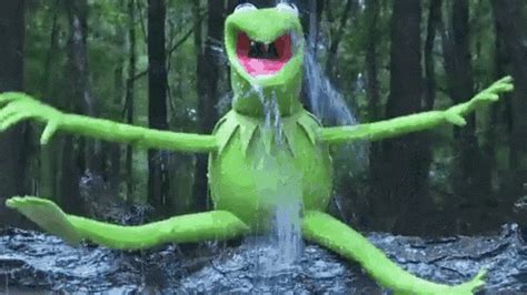 Kermit The Frog GIF - Green Kermit KermitTheFrog - Discover & Share GIFs