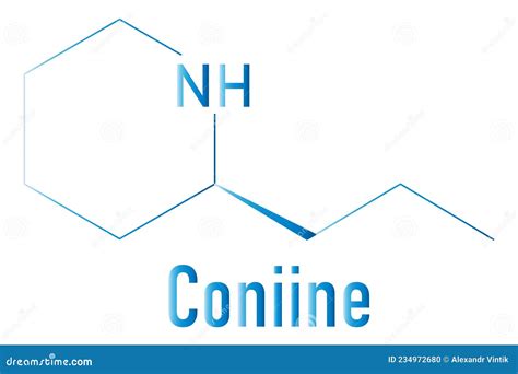 Coniine Herbal Toxin Molecule. Present in Poison Hemlock Conium ...