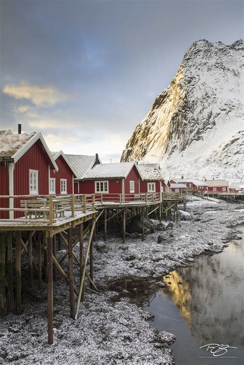 Sunrise on Reinebringen | Reine, Norway | Timm Chapman Photography