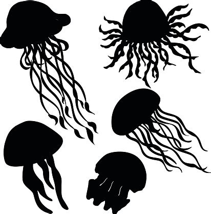 Vector Illustration Of Different Silhouettes Jellyfish Stock Illustration - Download Image Now ...