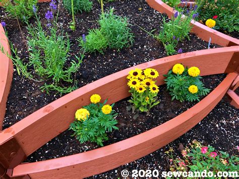 Sew Can Do: Landscaping & Gardening for the Non-Gardener