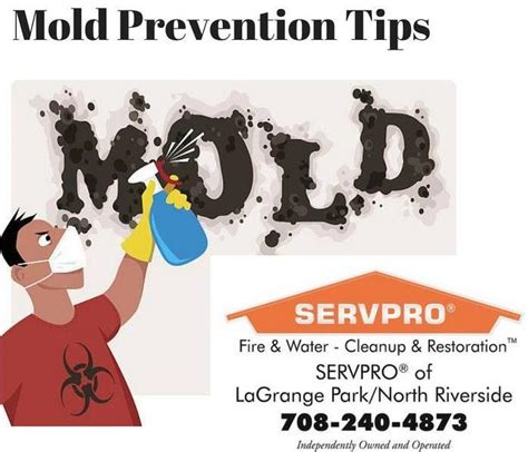 Mold Prevention