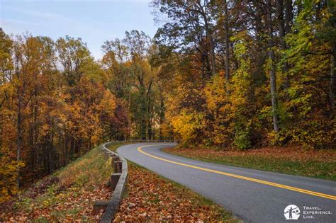 Blue Ridge Parkway, Virginia: Fall 2019 Guide - Travel. Experience. Live.