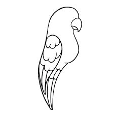 parrot outline drawing - Google Search | Outline drawings, Drawings, Outline
