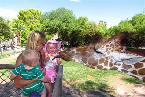 Reid Park Zoo, Tucson