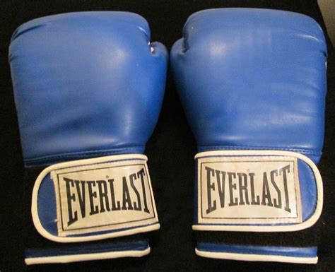 Everlast Training Gloves 14 Ounce Hook And Loop Pro Style Boxing Martial Arts | Training gloves ...