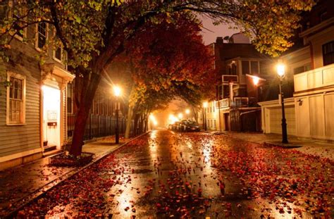 Pin by 𝒦𝓇𝒾𝓈𝒽𝒶𝑒 on fall | City streets photography, Night city, Autumn night