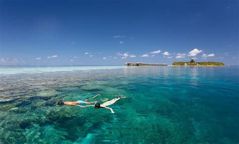 Vilamendhoo For Amazing Diving With All-Inclusive