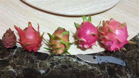 Different varieties of Dragon fruit : r/DragonFruit