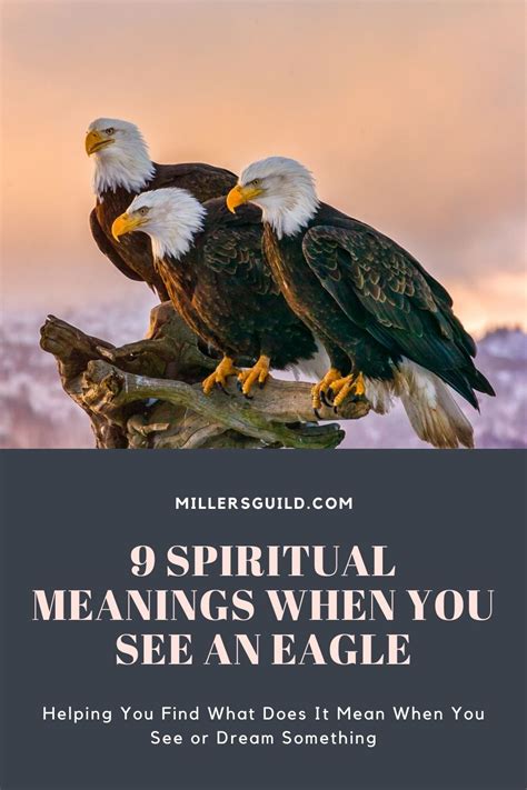 9 Spiritual Meanings When You See an Eagle - Unianimal