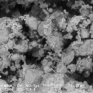 Thiobacillus ferrooxidans. Isolated from Acid Mine Drainag from... | Download Scientific Diagram