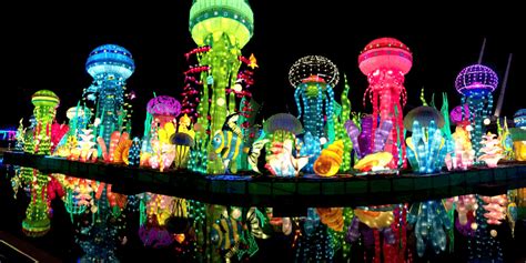 Top 7 attractions in Dubai Garden Glow look amazing, you must visit