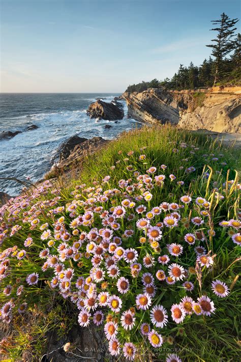 Shore Acres State Park Oregon - Alan Majchrowicz Photography