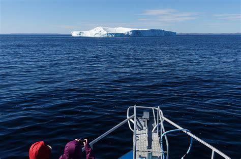 Newfoundland – Day 8 – St. Anthony – Icebergs And Vikings – The Bald Heretic – Short, bald dude ...