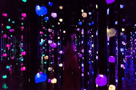 Mori Building Digital Art Museum - Teamlab Borderless Review - Stella ...