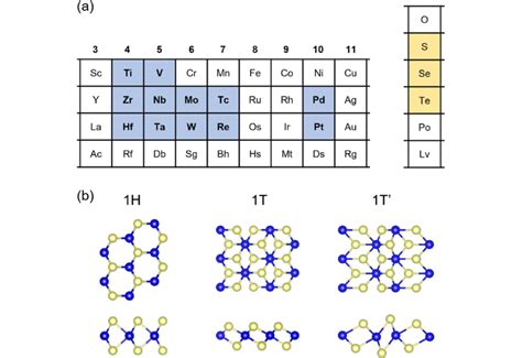 a Positions of transition metals (blue) and chalcogens (yellow) in the... | Download Scientific ...